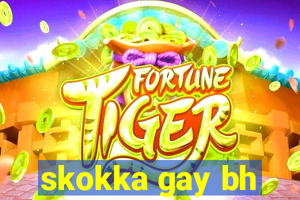 skokka gay bh